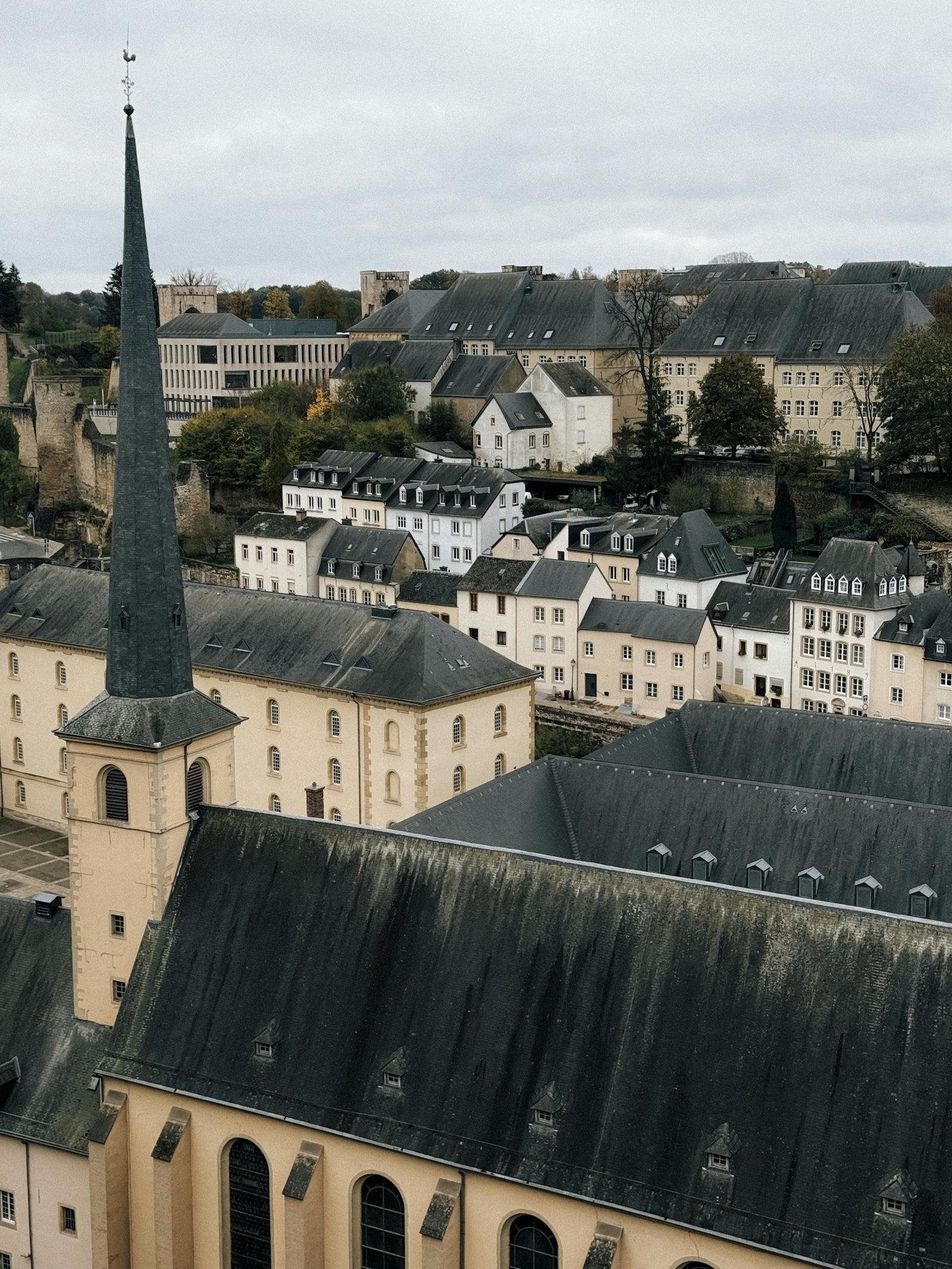 Aerial view of historic rooftops in Luxembourg City.