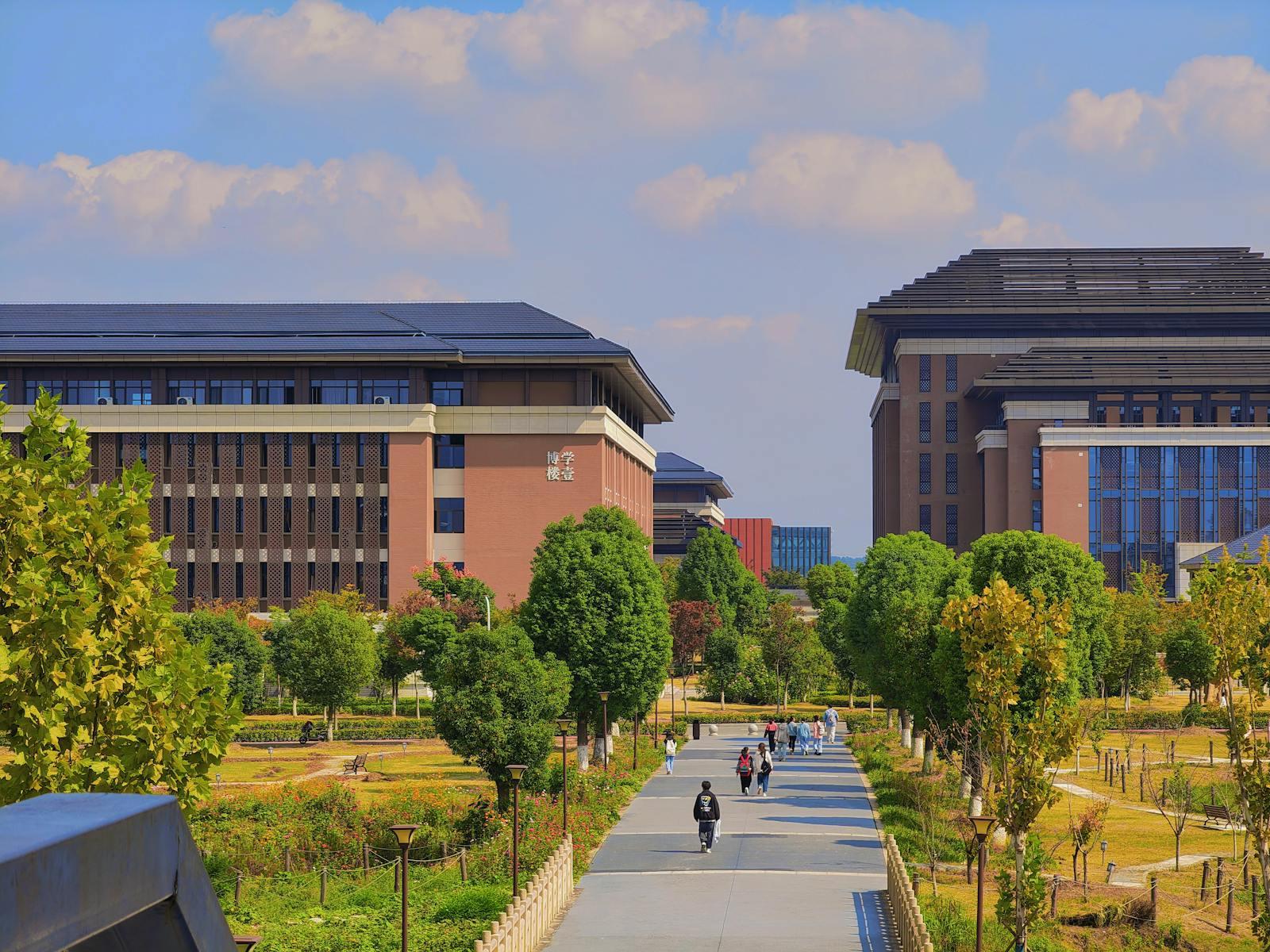 A modern university campus walkway lined with trees.